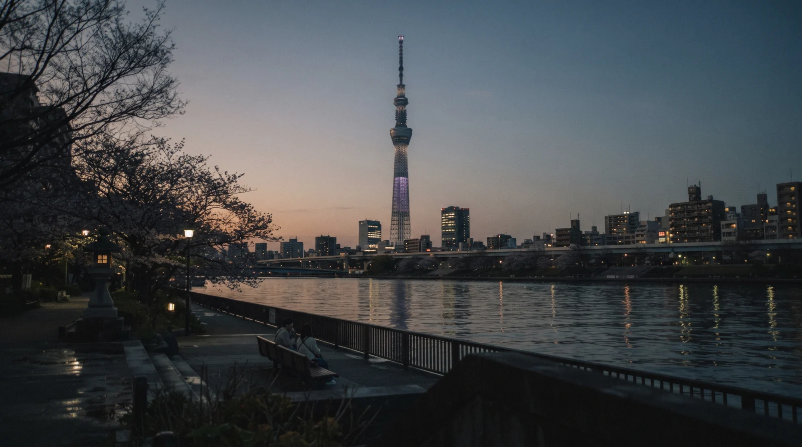 Tokyo Skytree rising 634 metres above the low roofs of Sumida at dusk in Tokyo, Japan