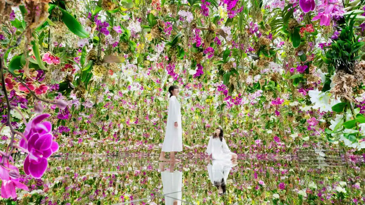 Visitors wading barefoot through a glowing water installation at teamLab Planets, teamLab Planets entry ticket